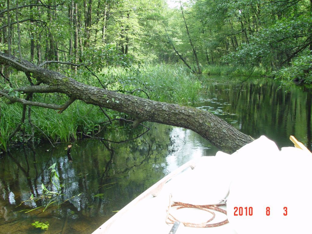 9 orzysza (6)